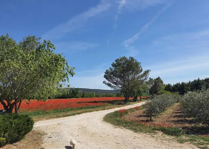 La Petite Galejade
