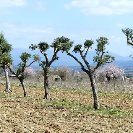 La Petite Galejade Villa Gordes Buitenkant foto