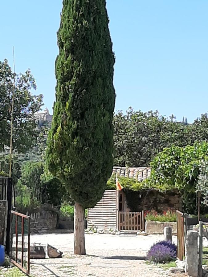 La Petite Galéjade